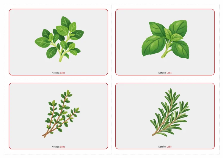 Herbs and Spices flashcards preview